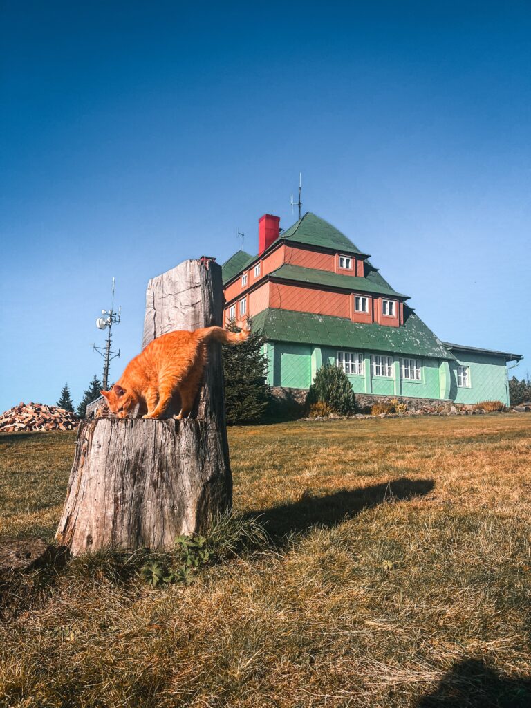 Masarykova chata na Šerlichu v Orlických horách