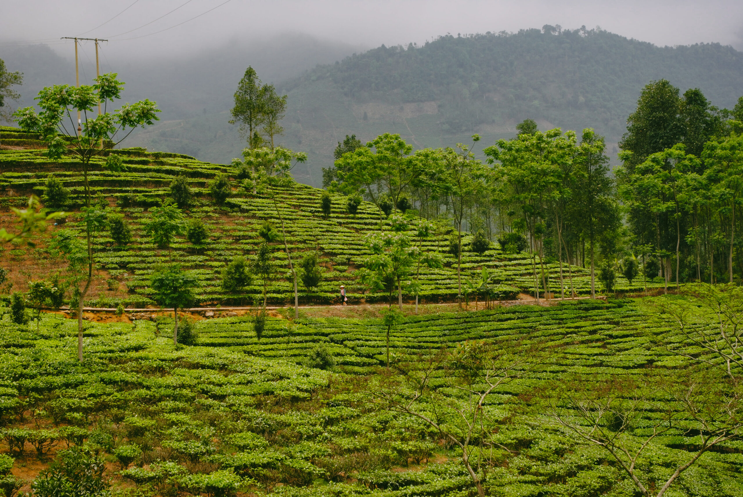 Severní Vietnam, Nam Bung