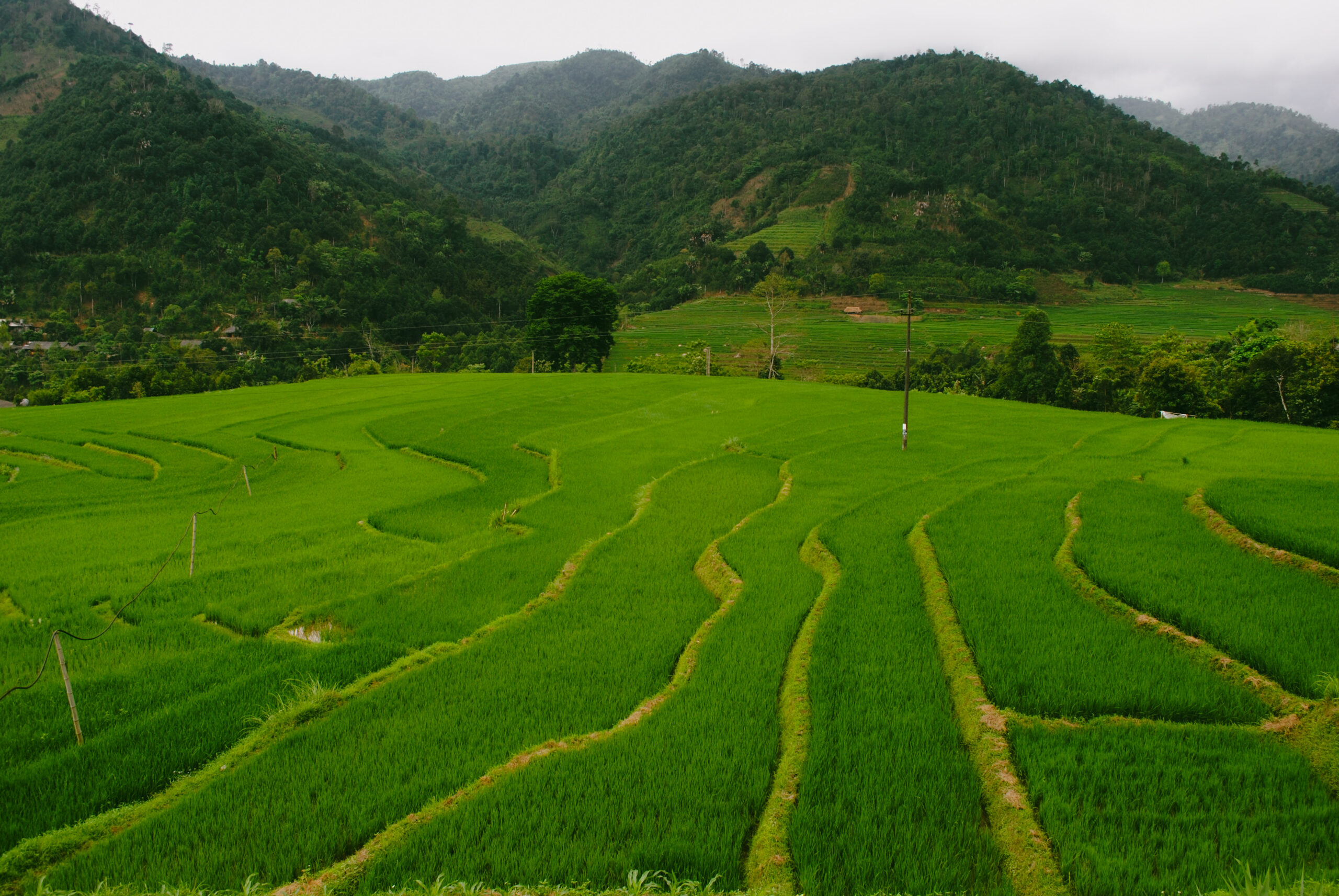 Severní Vietnam, Nam Lanh