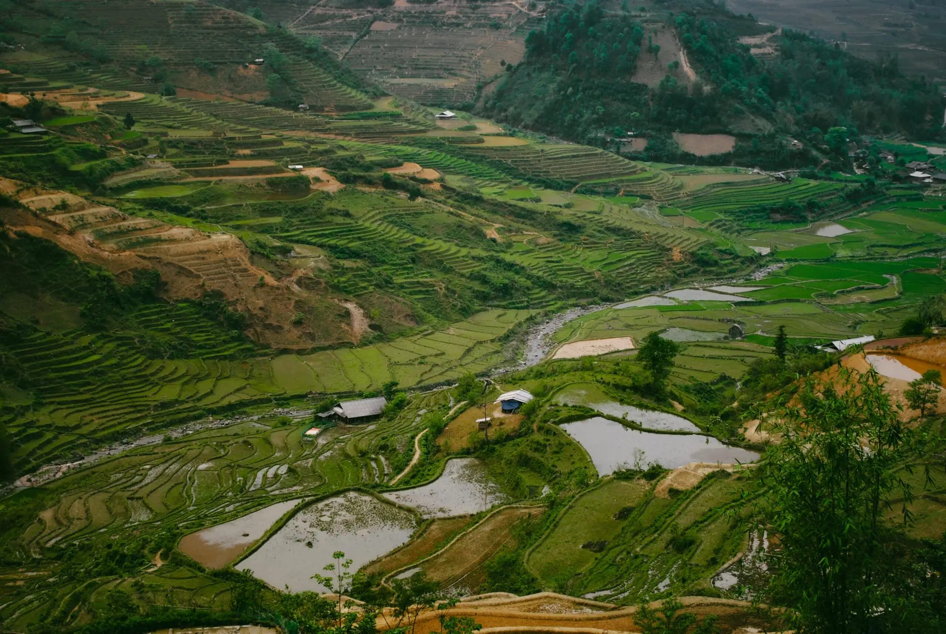 Severní Vietnam, Cao Pha