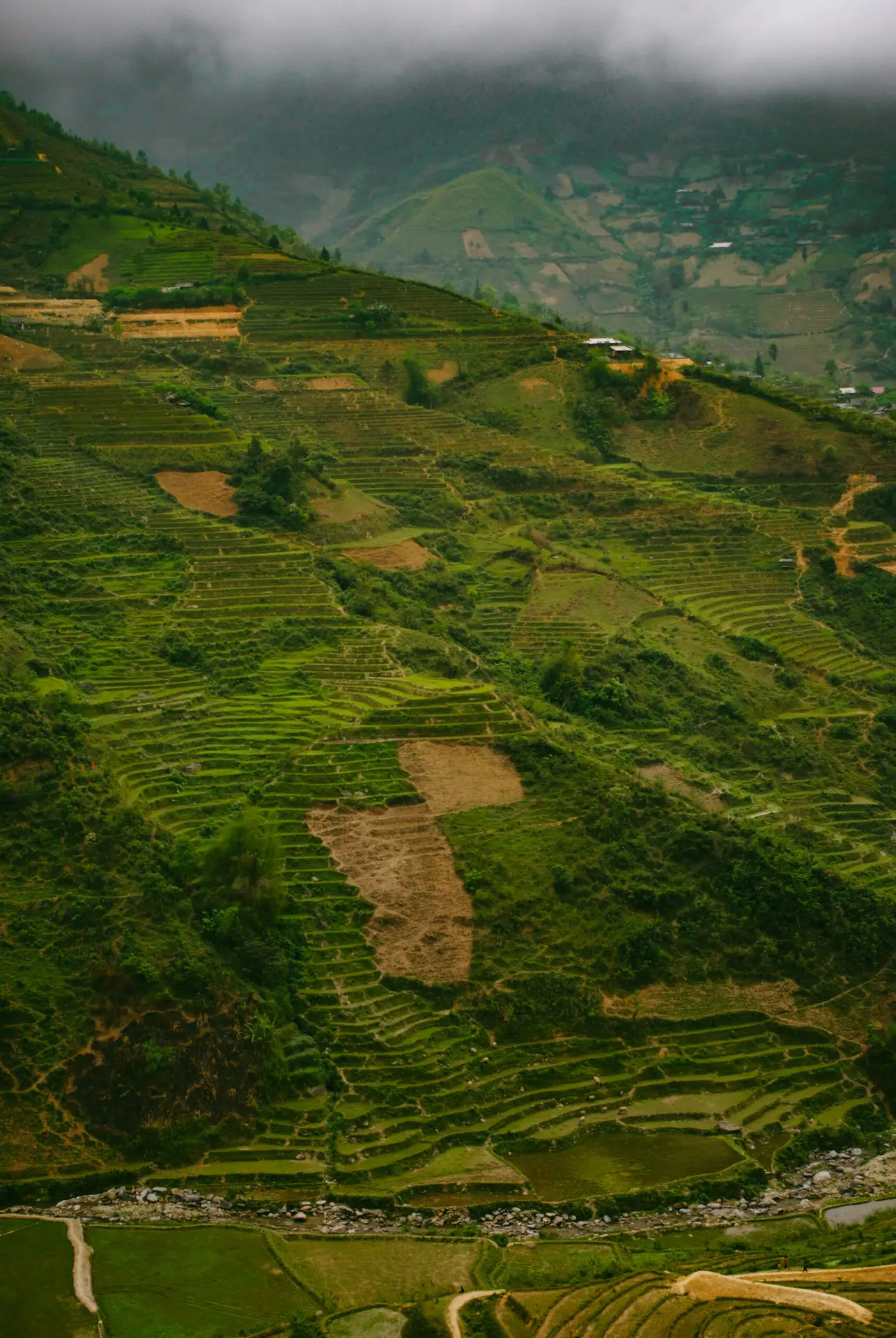 Severní Vietnam, Cao Pha